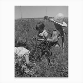 Untitled Photo, Possibly Related To Child Of Farm Worker Who Lives At The Fsa (Farm Security Administration) La Canvas Print