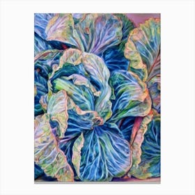Cabbage 2 Classic vegetable Canvas Print