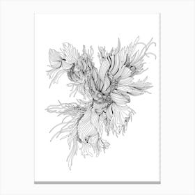 Night Rooster Linear Drawing Canvas Print