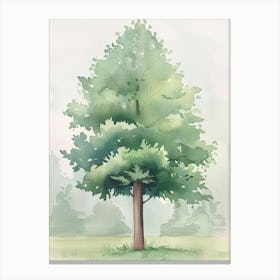 Cedar Tree Atmospheric Watercolour Painting 1 Canvas Print