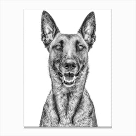 Portrait Of A German Shepherd Canvas Print