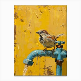 Sparrow On A Faucet 2 Canvas Print
