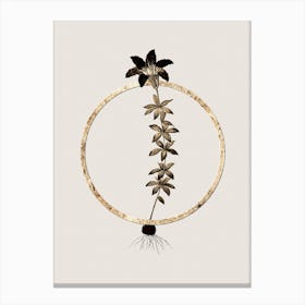Gold Ring Wood Lily Glitter Botanical Illustration Canvas Print