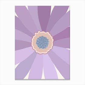 Purple Floral Daisy Canvas Print