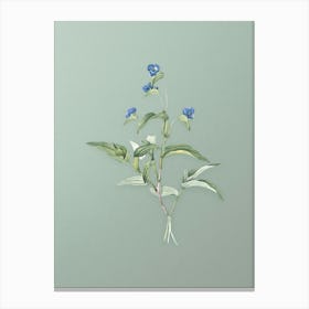 Vintage Blue Spiderwort Botanical Art on Mint Green n.0711 Canvas Print