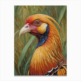 Pheasant Canvas Print