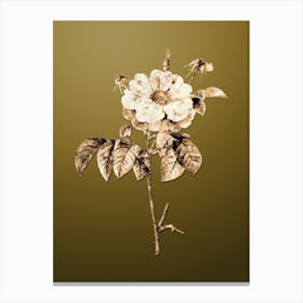 Gold Botanical Speckled Provins Rose on Dune Yellow n.3804 Canvas Print