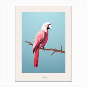 Minimalist Macaw 2 Bird Poster Canvas Print