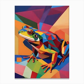 Colorful Frog Canvas Print