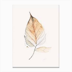 Beech Leaf Minimalist Watercolour Canvas Print