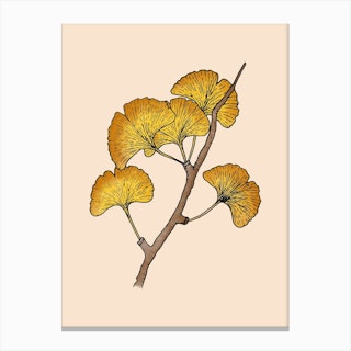 Ginkgo Leaves Orange Canvas Print