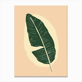 Banana Leaf 23 Canvas Print