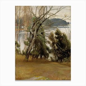 Sallow In Autumn (1907), Pekka Halonen Canvas Print