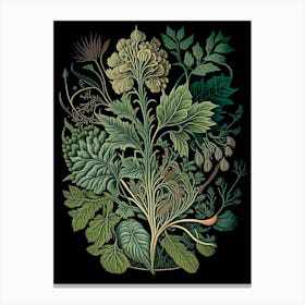 Pleurisy Root Herb Vintage Botanical Canvas Print