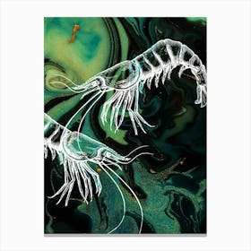 Under Water Wonders Shrimp Black & Green Canvas Print