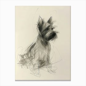 Scottish Terrier Dog Charcoal Line 2 Canvas Print