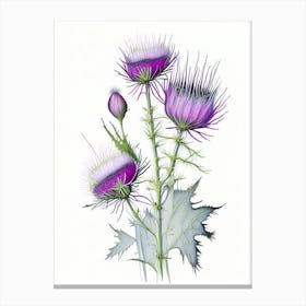 Thistle Floral Quentin Blake Inspired Illustration 1 Flower Canvas Print