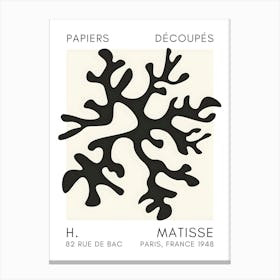 Matisse 40 Canvas Print