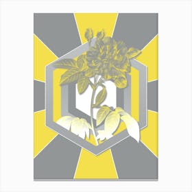 Vintage Variegated French Rosebush Botanical Geometric Art in Yellow and Gray n.173 Canvas Print