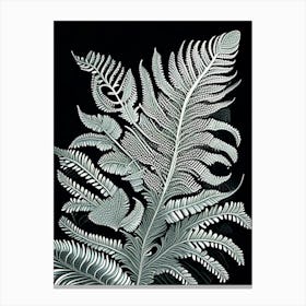 Silver Lace Fern 3 Vintage Botanical Poster Canvas Print