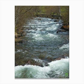 River 20210502 67ppub Canvas Print