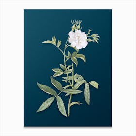 Vintage White Rose of York Botanical Art on Teal Blue n.0409 Canvas Print