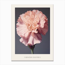 Floral Illustration Carnation Dianthus 4 Poster Canvas Print