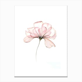 Pink Flower 2 Canvas Print