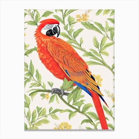 Macaw 2 William Morris Style Bird Canvas Print