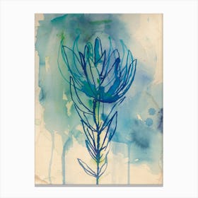 Blue Wash Protea Canvas Print