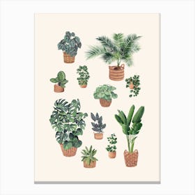 Plants Collection 5 Canvas Print