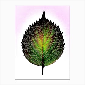 Leaf On A Pink Background Canvas Print