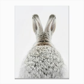 Rabbit Hare Canvas Print