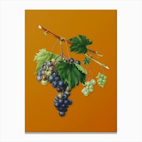 Vintage Grape from Ischia Botanical on Sunset Orange n.0628 Canvas Print