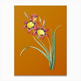 Vintage Ixia Tricolore Botanical on Sunset Orange n.0345 Canvas Print