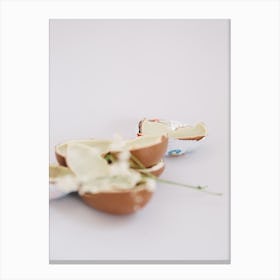 Egg Shells Canvas Print