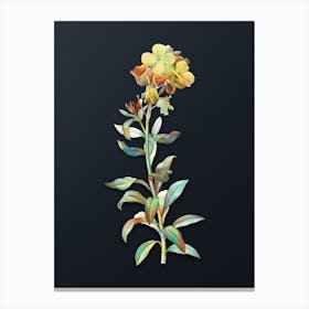 Vintage Yellow Wallflower Bloom Botanical Watercolor Illustration on Dark Teal Blue n.0236 Canvas Print
