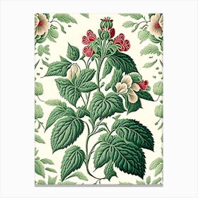Peppermint 3 Floral Botanical Vintage Poster Flower Canvas Print