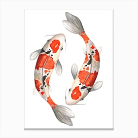 Koi Fish Canvas Print