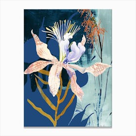 Colourful Flower Illustration Love In A Mist Nigella 4 Canvas Print