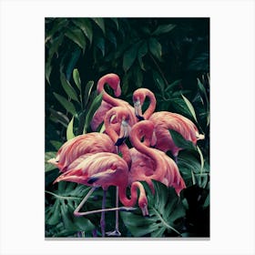 Pink Flamingos Canvas Print