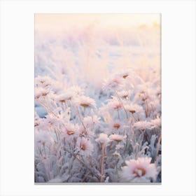 Frosty Botanical Asters 3 Canvas Print