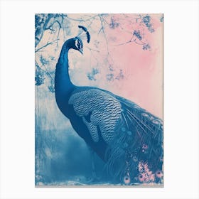 Peacock By The Tree Cyanotype Inspired Canvas Print