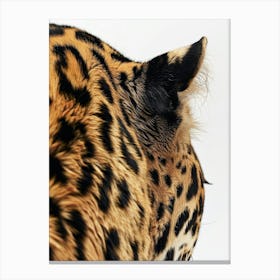 Leopard - Close Up Canvas Print