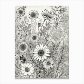 Daisies In The Garden Canvas Print