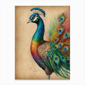 Peacock 5 Canvas Print