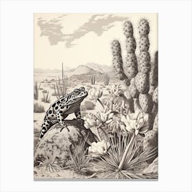 Desert Wave Frog Drawing 2 Canvas Print