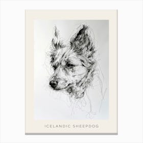 Icelandic Sheepdog Line Art 1 Poster Canvas Print