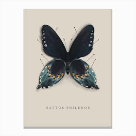 Butterfly No10 Canvas Print