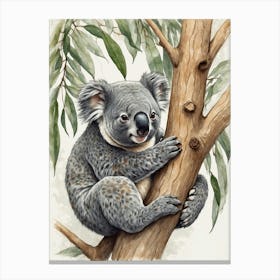 Koala 1 Canvas Print